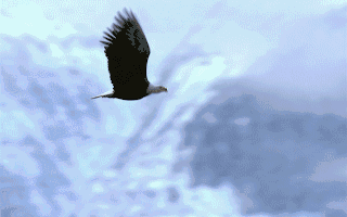 基金最新动向：走访这26家公司